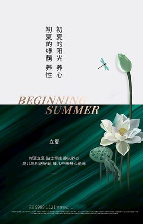 立夏荷花创意