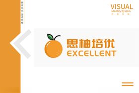 VI模板