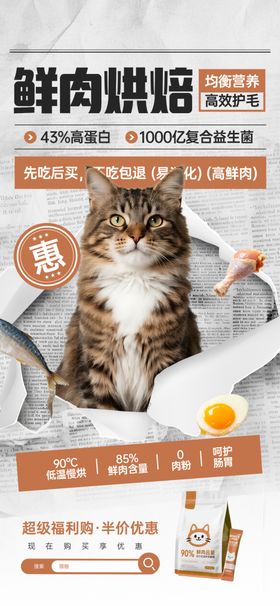 鲜肉猫粮促销海报