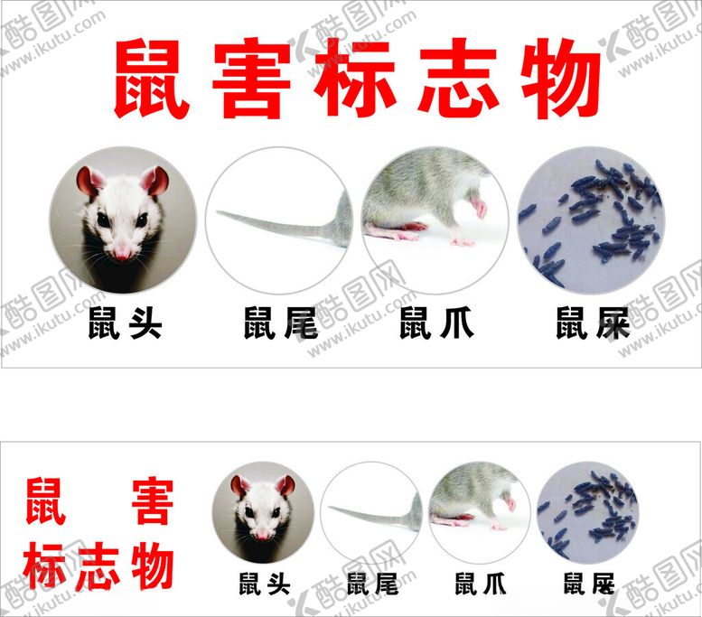编号：37105901301739366114【酷图网】源文件下载-鼠害标志物