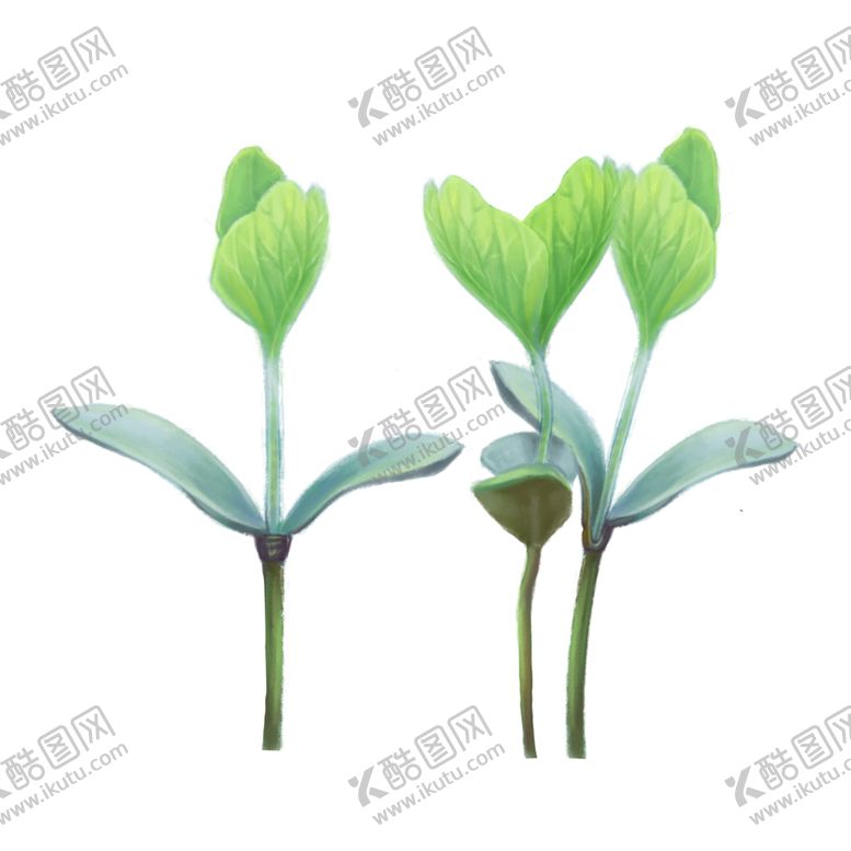 编号：13452102082101584217【酷图网】源文件下载-春日春天植物