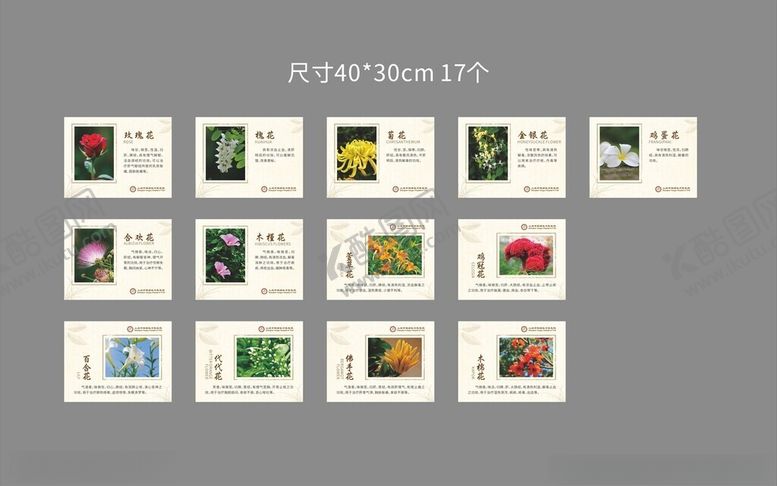 编号：39895304011805329030【酷图网】源文件下载-多样邮票展示