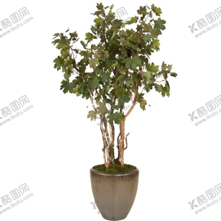 编号：32793607140838064315【酷图网】源文件下载-免抠背景花草树木