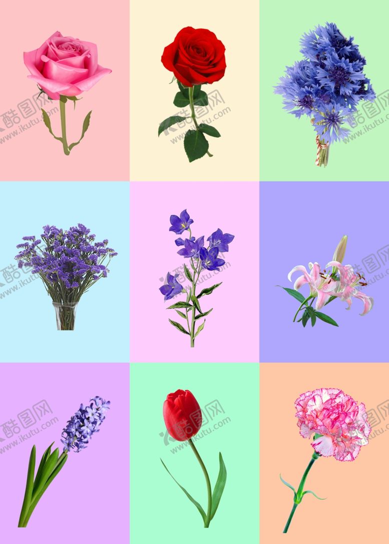 编号：79448909131713402969【酷图网】源文件下载-鲜花花朵素材