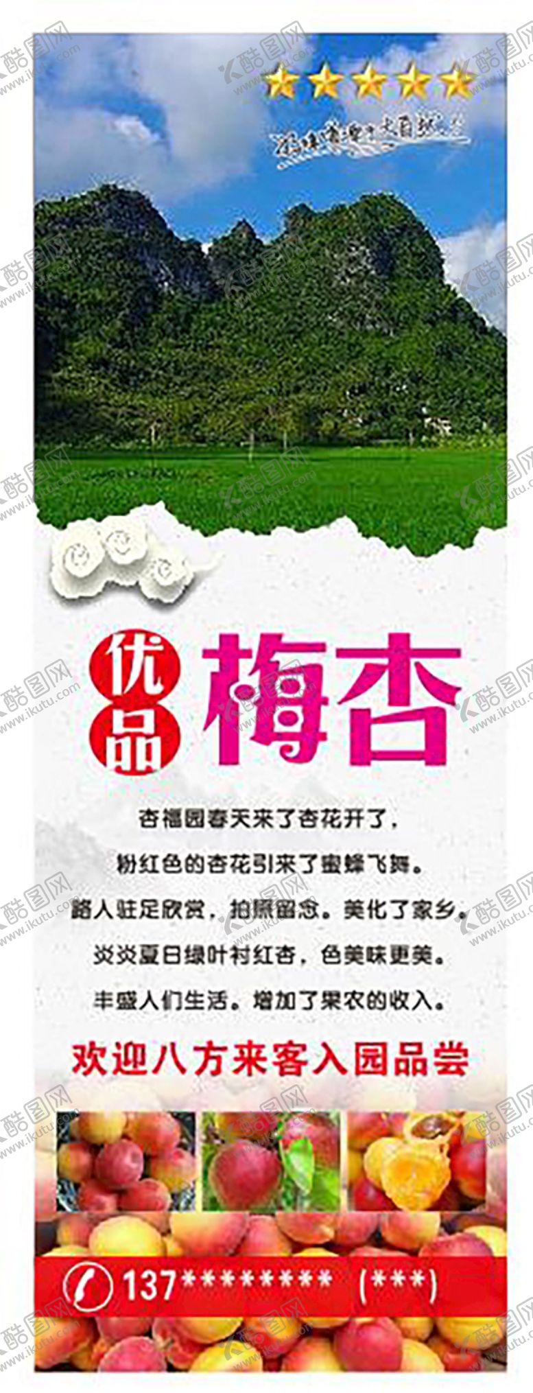 编号：53383610170022379375【酷图网】源文件下载-梅杏