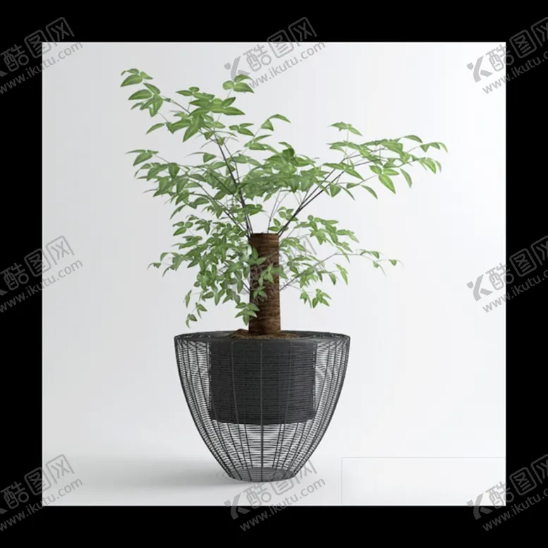 编号：43052302092051298606【酷图网】源文件下载-盆栽植物模型