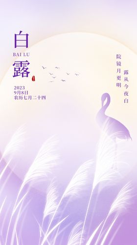 白露节气海报手机微信单张