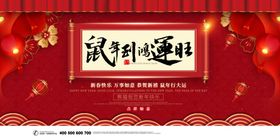 2020鼠年行大运