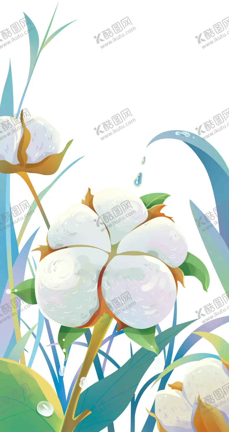 编号：10757002241955024416【酷图网】源文件下载-寒露棉花