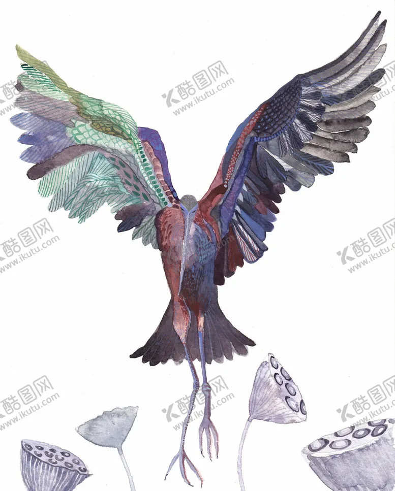 编号：41971507020509257089【酷图网】源文件下载-北欧风格淡色鸟禽水彩画