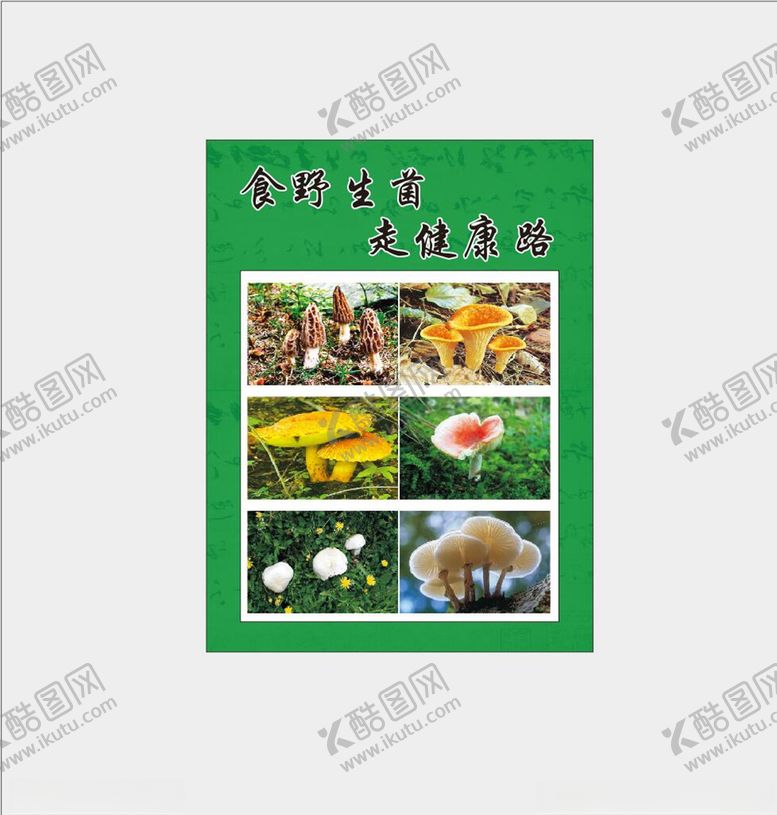 编号：43775109140300165183【酷图网】源文件下载-野生菌