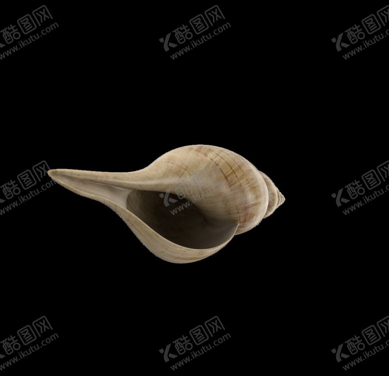 编号：83585210221142249891【酷图网】源文件下载-海洋生物
