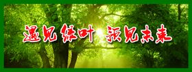 绿叶看板