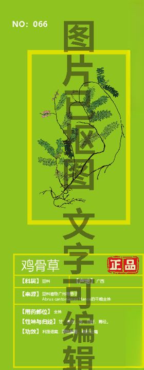 鸡骨草