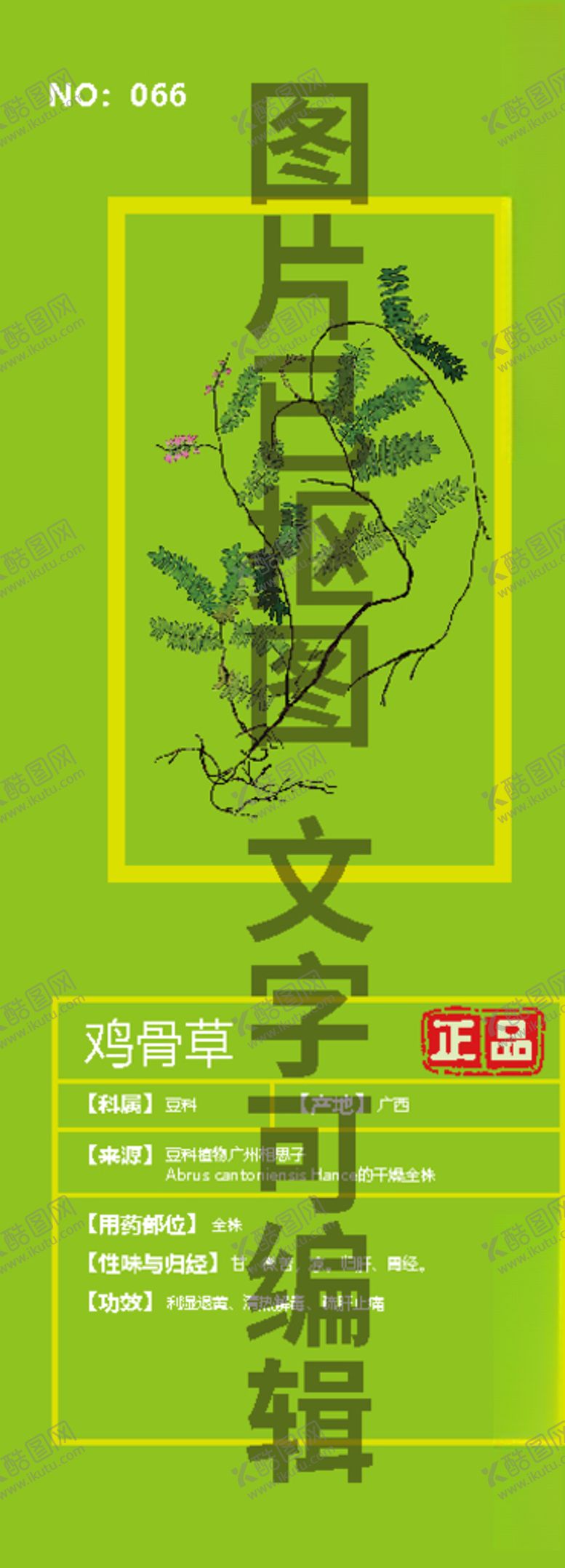 编号：69420005110735032149【酷图网】源文件下载-鸡骨草