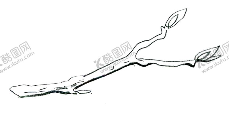 编号：28398609291911579077【酷图网】源文件下载-简笔线条树枝绘画