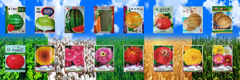 编号：73129004041433243365【酷图网】源文件下载-多样零食包装展示