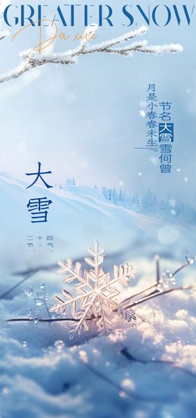 大雪节气海报