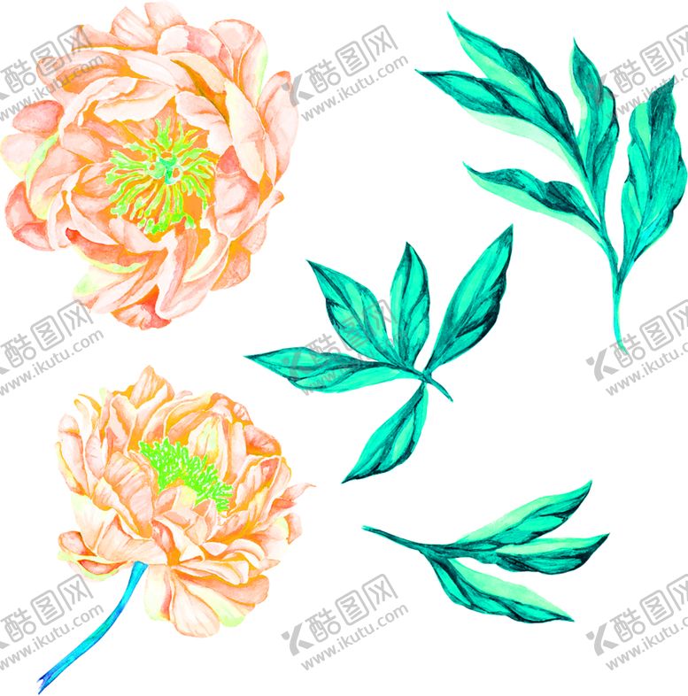编号：89977907081116281990【酷图网】源文件下载-花素材