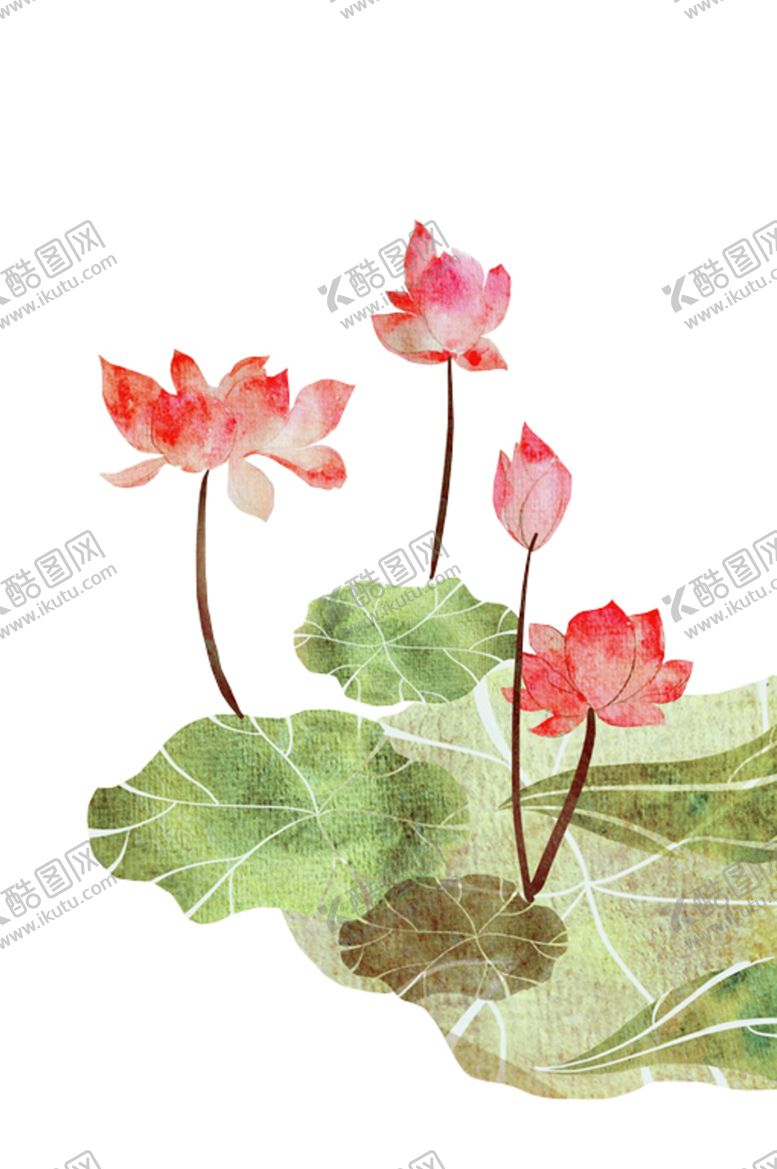 编号：36592907141318291093【酷图网】源文件下载-荷花