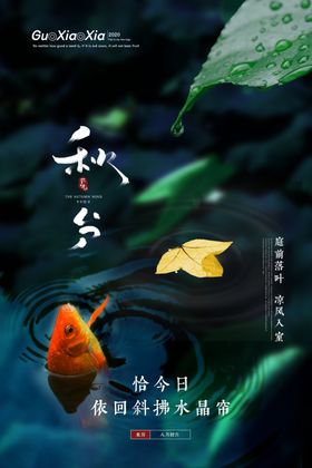 秋分大雪谷雨白露