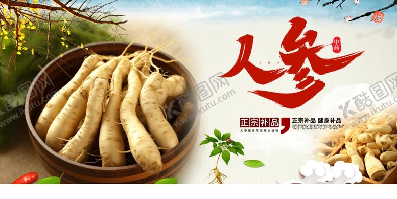 编号：39941410151945291967【酷图网】源文件下载-人参