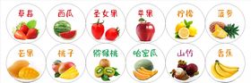 水果大全矢量