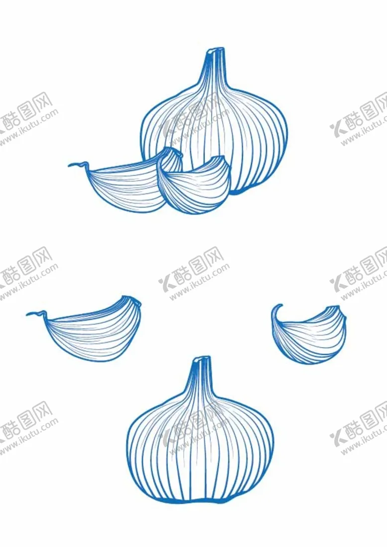 编号：53842009220426102961【酷图网】源文件下载-大蒜线稿