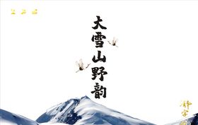 大雪山野韵武夷岩茶效果图平面
