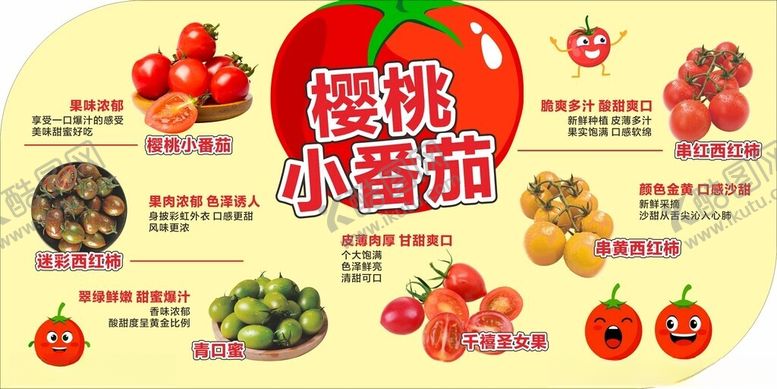 编号：98653412222323313797【酷图网】源文件下载-樱桃小番茄宣传海报