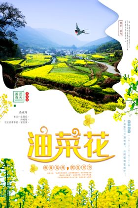 美丽油菜花海报