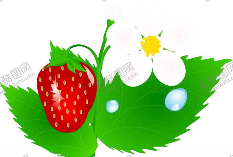 编号：13564009280644012645【酷图网】源文件下载-草莓插图