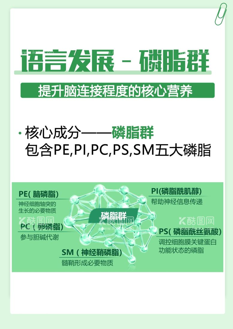 编号：67062603081748317162【酷图网】源文件下载-磷脂群大脑儿童保健