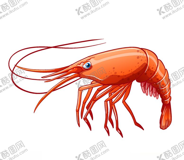 编号：72508109221719212518【酷图网】源文件下载-手绘虾