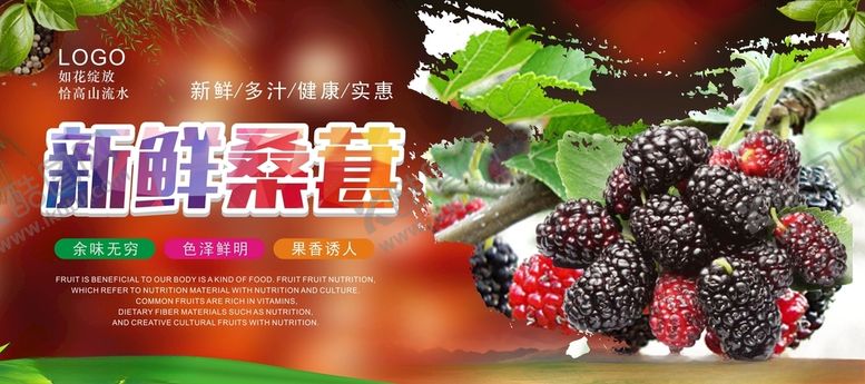 编号：99924103160849013155【酷图网】源文件下载-桑葚海报