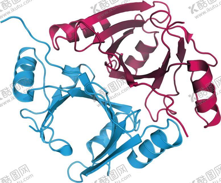 编号：39754009212244294254【酷图网】源文件下载-红蓝