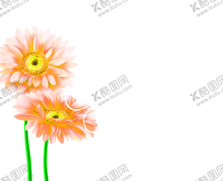 编号：38507006271346275377【酷图网】源文件下载-花素材