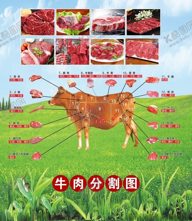 编号：61979002091809249019【酷图网】源文件下载-超市生鲜区牛肉分割灯箱
