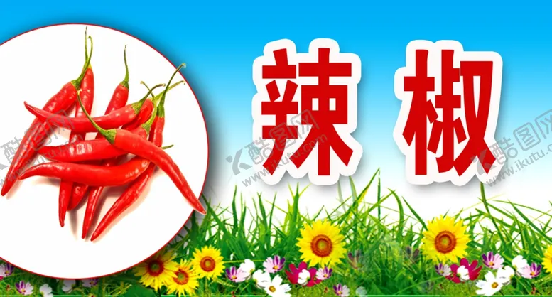 编号：89943606151607586728【酷图网】源文件下载-辣椒