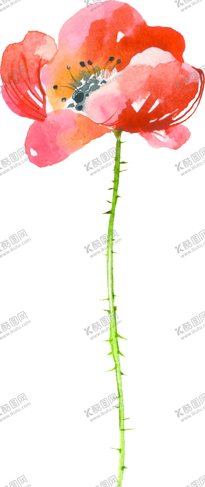 编号：94100310300904454373【酷图网】源文件下载-水彩手绘花卉花朵植物