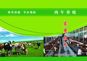 肉牛养殖基地肉牛养殖