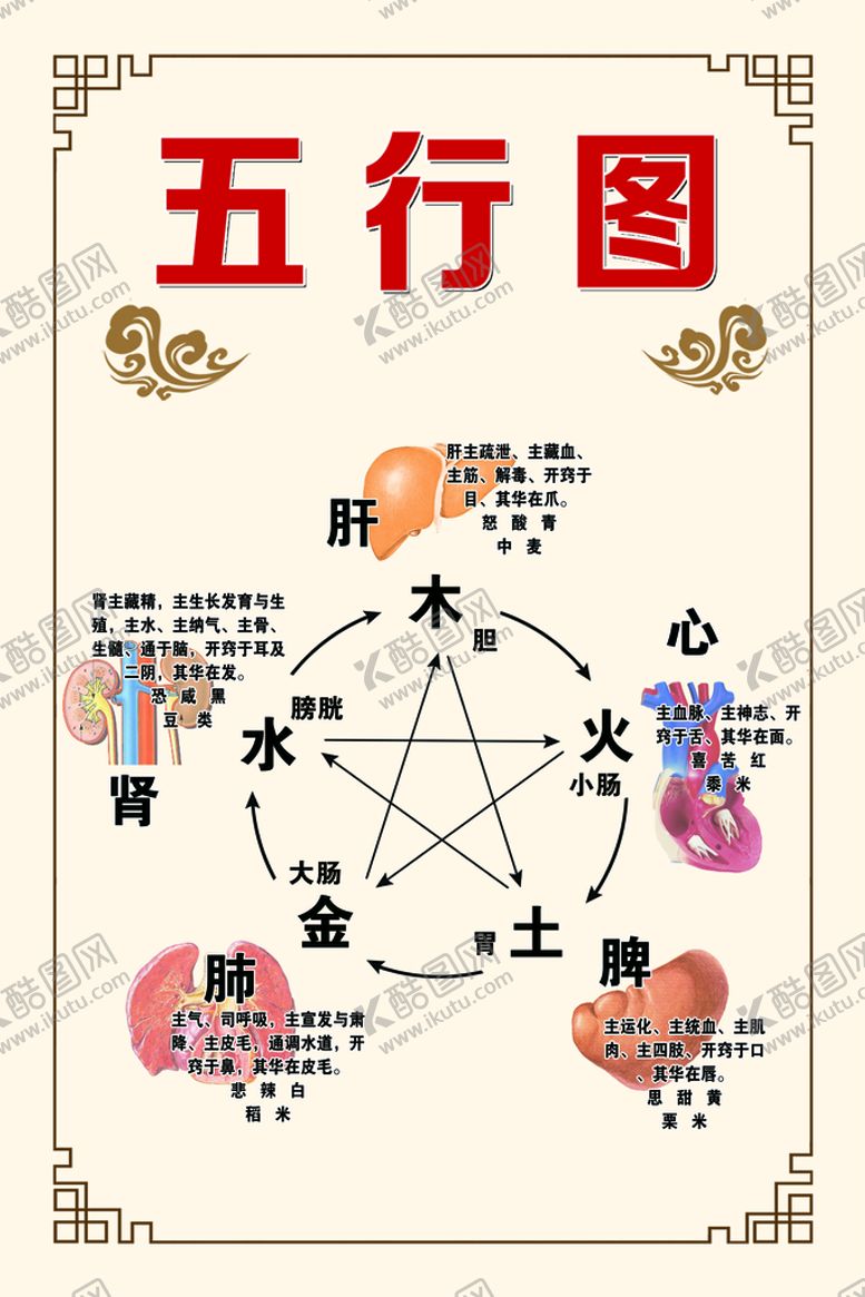编号：70349609151829497620【酷图网】源文件下载-五行图养生金木水火土分层图