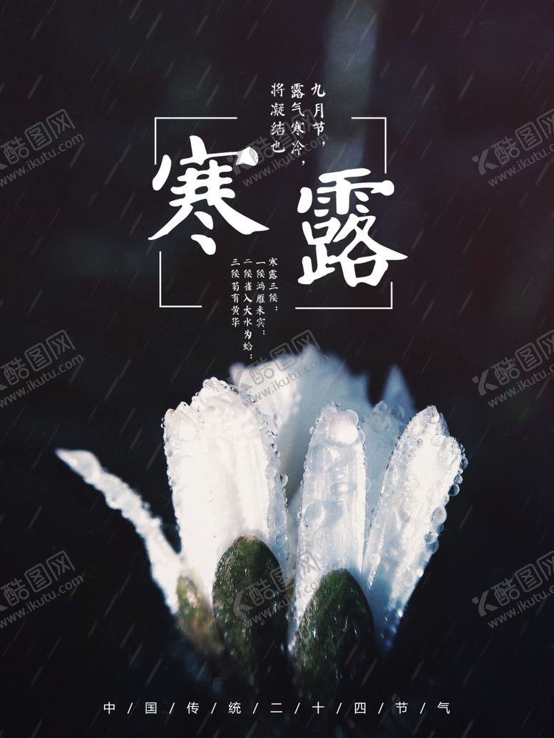 编号：41616610291400125786【酷图网】源文件下载-寒露海报