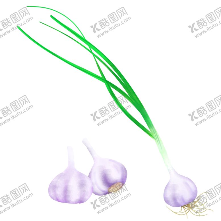 编号：51344809172035197670【酷图网】源文件下载-手绘蒜苗