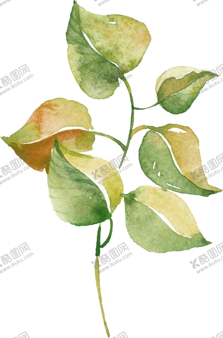 编号：15699605130345584092【酷图网】源文件下载-水彩手绘花卉花朵植物