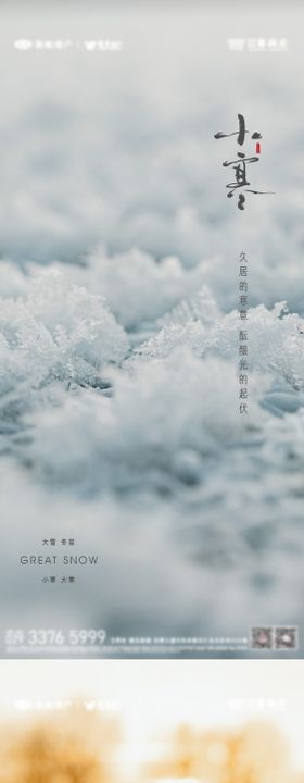 大雪冬至大寒小寒节气