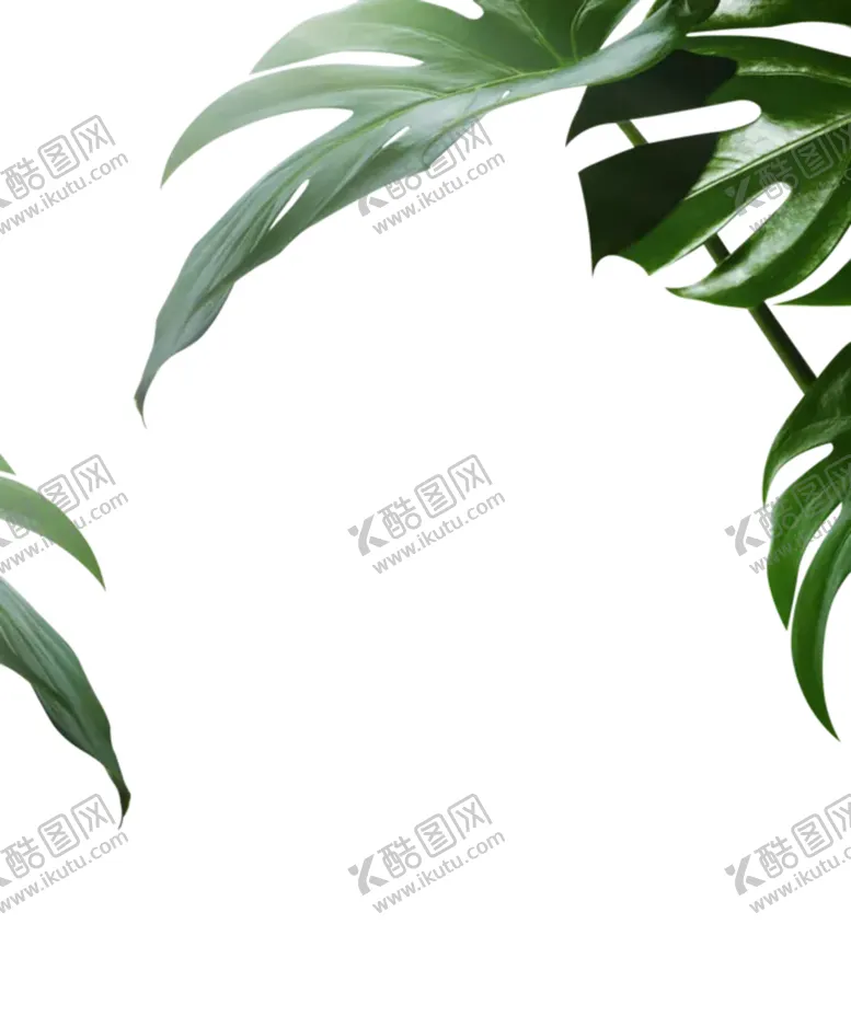 编号：42738507020202446598【酷图网】源文件下载-叶子