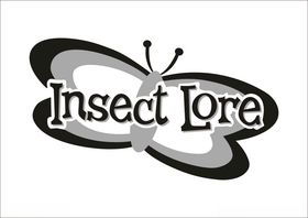 InsectLore蝴蝶标