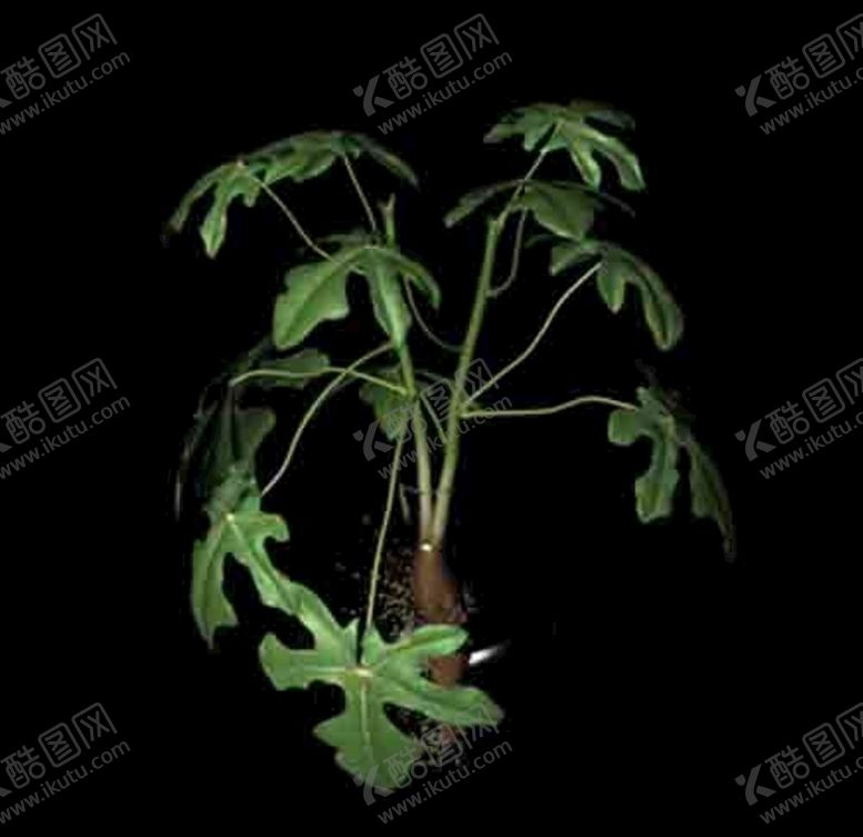 编号：99242710240715028289【酷图网】源文件下载-花草模型植物模型花卉模型