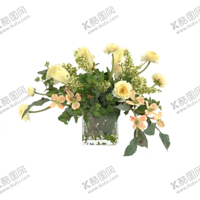 编号：26975706171707252015【酷图网】源文件下载-免抠背景花草树木